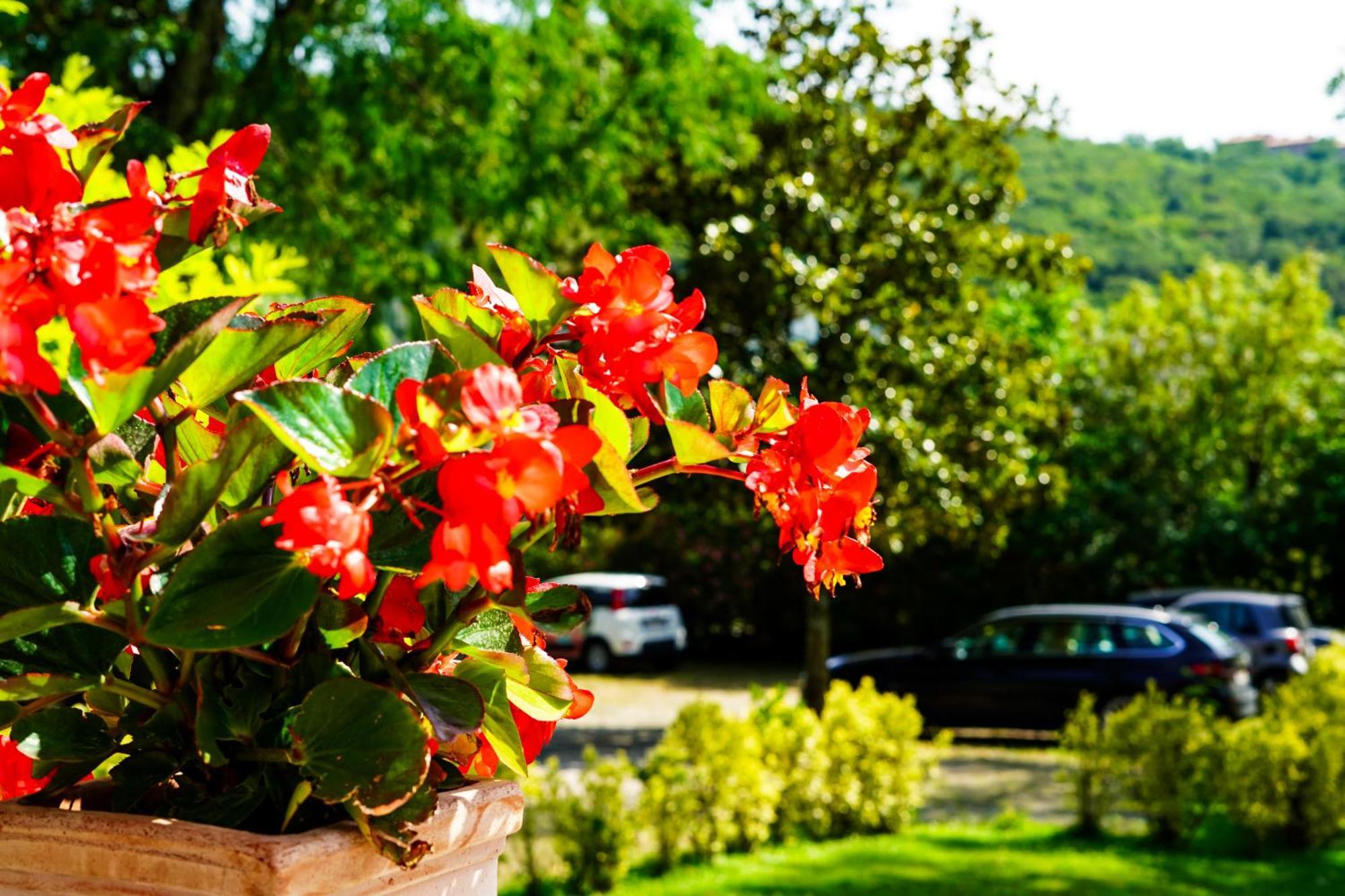 Villa Bottacin Trieste Ngoại thất bức ảnh